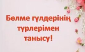 Оранжерея көрмесі