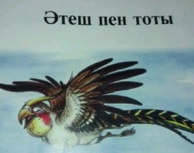 Әтеш пен тоты