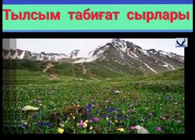 Тылсым табиғат сырлары