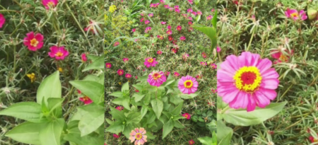 Табиғатым - тағдырым