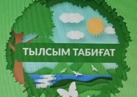 Тылсым табиғат