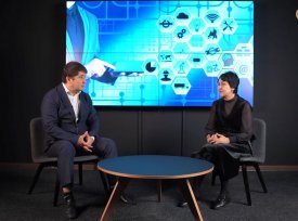 бейнеролик